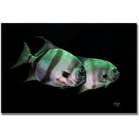 Трговска марка ликовна уметност риба во темната wallидна уметност од платно од Лоис Брајан