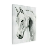 Грејс Поп „коњ шепот I“ платно уметност