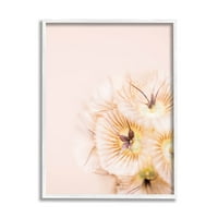 Затворете го розовиот цвет Антер ботаничка и цветна фотографија бела врамена уметничка печатена wallидна уметност