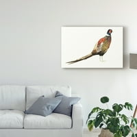 Трговска марка ликовна уметност „акварел фазан I“ платно уметност од Грејс Поп