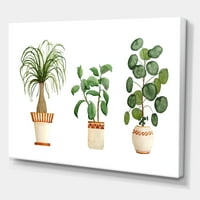 DesignArt 'Trio of House Glands Ficus Ponytail and Palm' Традиционална печатење на wallидови од платно