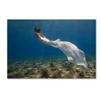 Трговска марка ликовна уметност „бел фустан“ платно уметност од Асаф Гавра