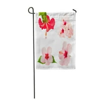 Зелена фабрика од розова и црвена хибискус цвет роза егзотично градинарско знаме Декоративно знаме куќа банер
