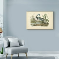 Трговска марка ликовна уметност 'Audubons Louisiana Heron' Canvas Art by John James Audubon